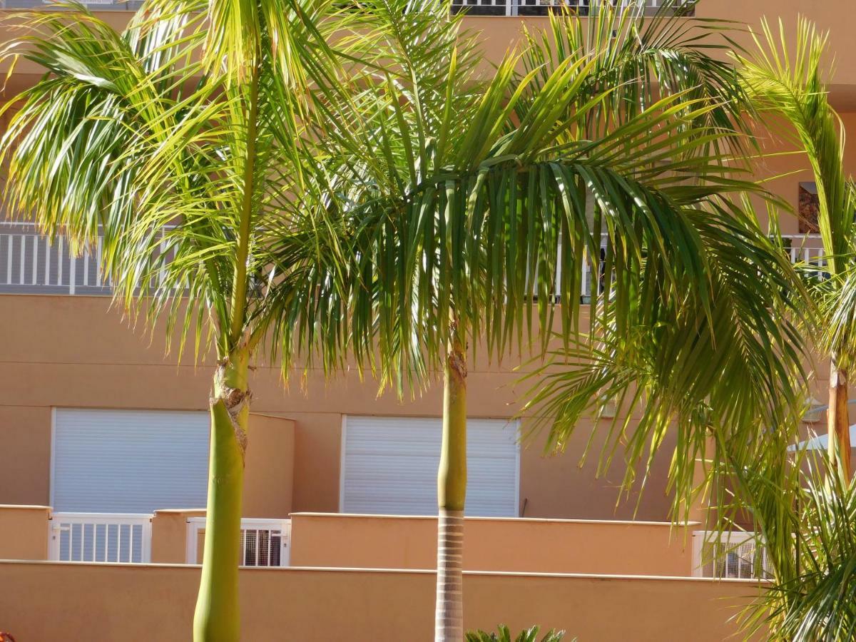 Brisas Del Mar Apartment Costa Adeje  Exterior foto